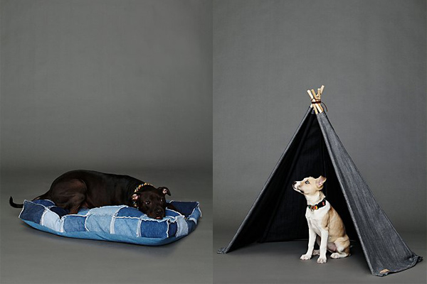 denim-pet-accessories-free-people-1