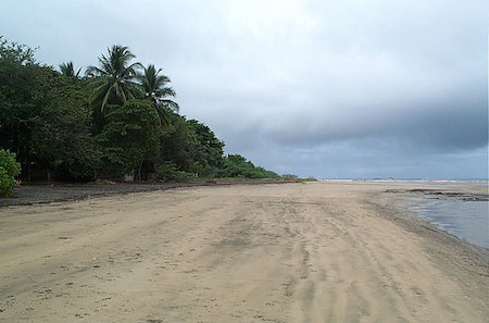 ecobeach3