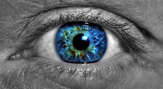 eye