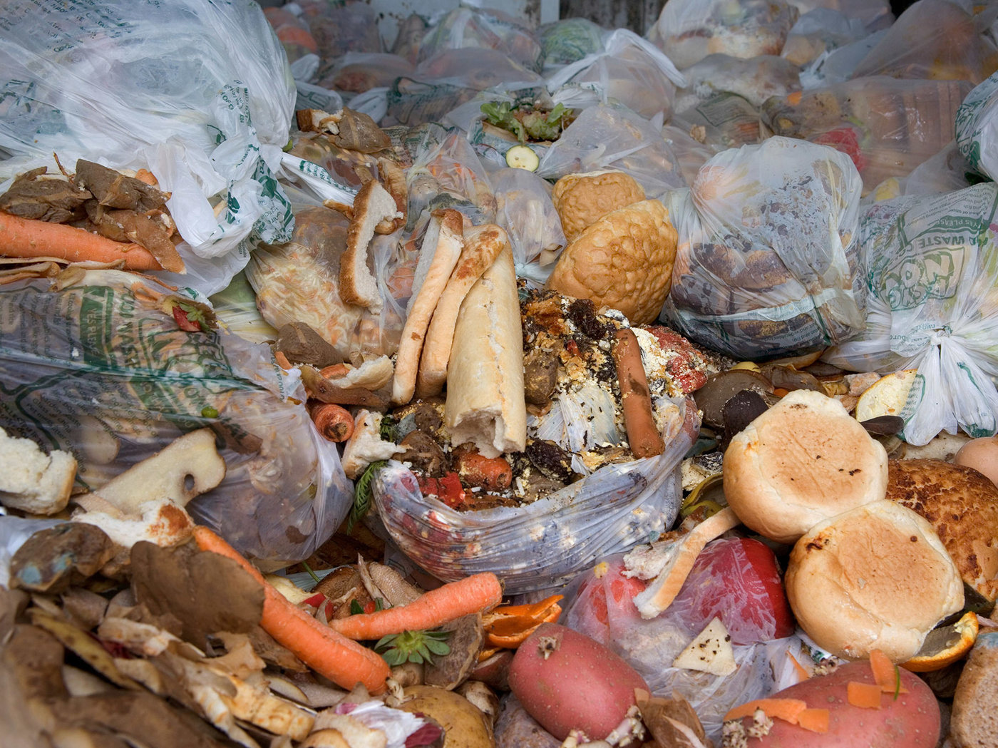 food-waste-2-bfdb83bc205f440746476534f9dd5bc9aa1c3ff6-s1400-c85