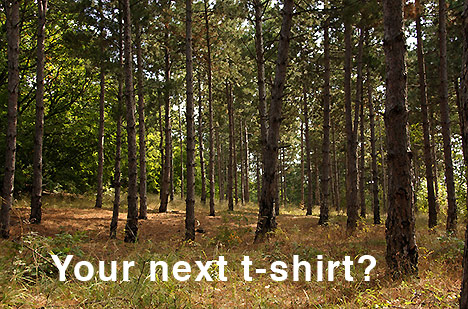 forest-next-t-shirt-photo