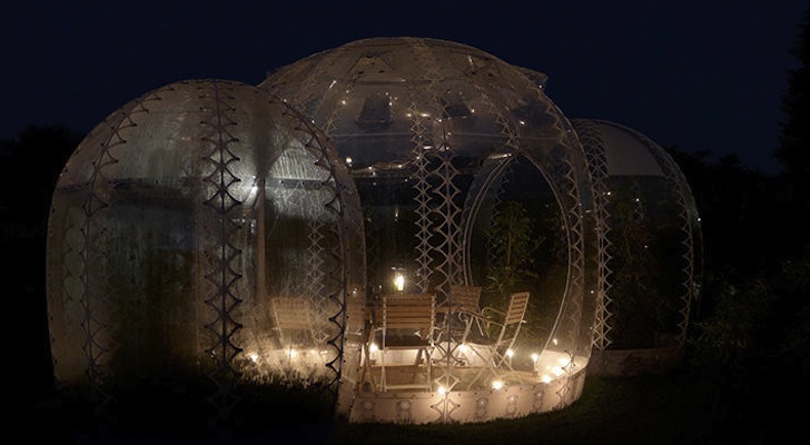 greenhouse3