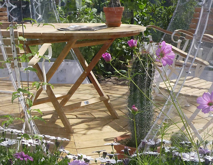 greenhouse4