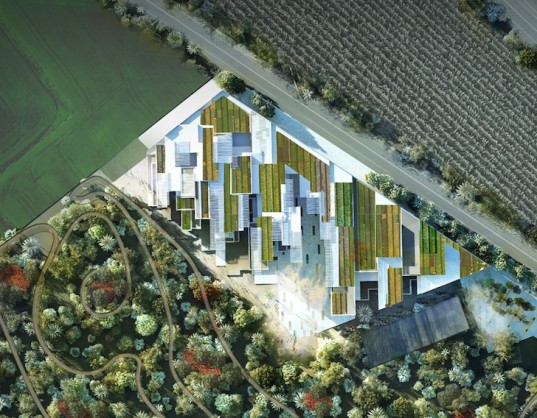 greenroofs2