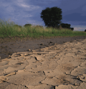 i289-l-CropsClimateChange_300
