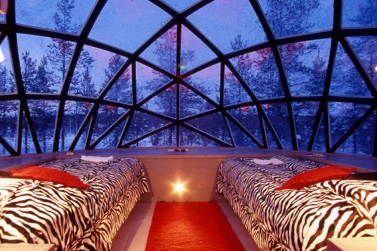 igloo2