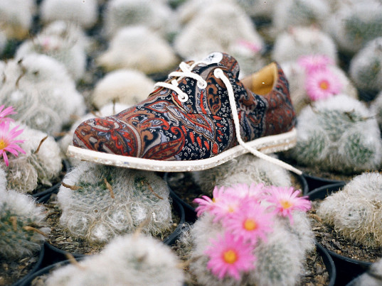 insecta-shoes-brazil-1-537x403