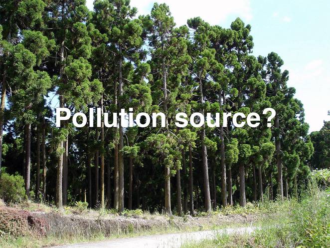 japan-tree-plantation-pollution-source.jpg.662x0_q70_crop-scale