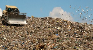 landfill