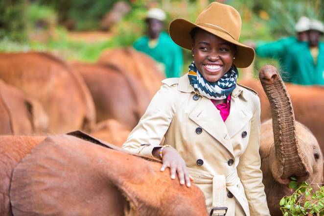 lupita-nyongo-end-ivory-trade.jpg.662x0_q70_crop-scale