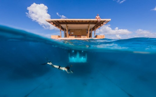 manta