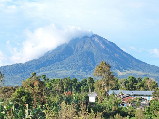 mount