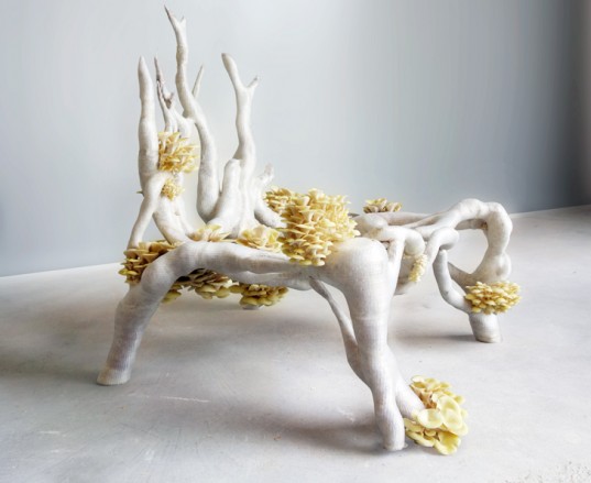 mushroom