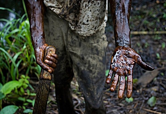 nigeroilspill