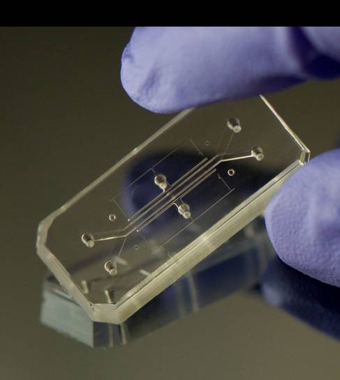 organs-chip.jpg.0x545_q70_crop-scale