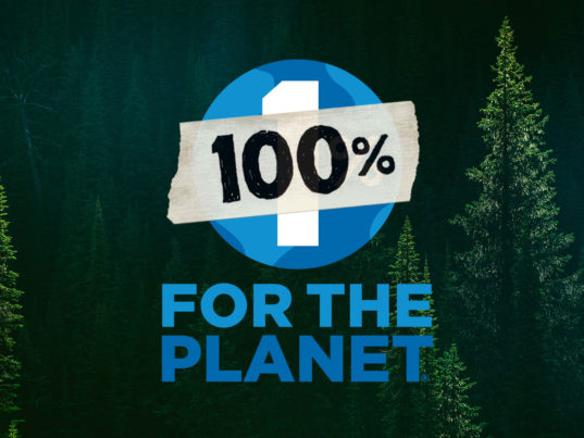 patagonia-black-friday-2-537x403