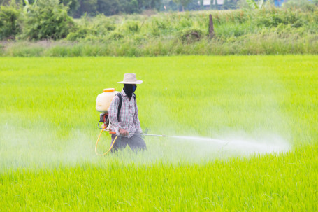 pesticide