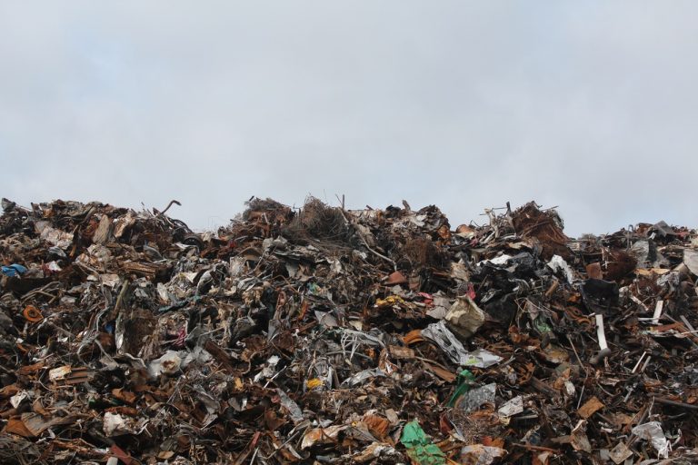pexels-photo-128421-768x512