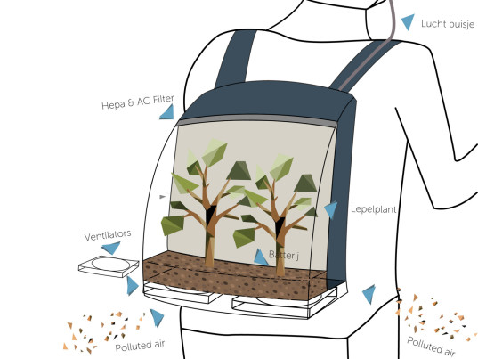 plant-bag-2-537x403