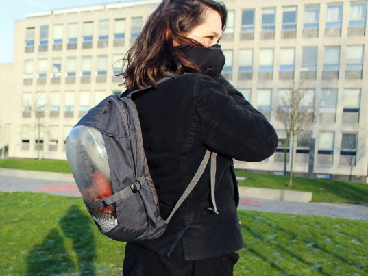 plant-bag-537x403