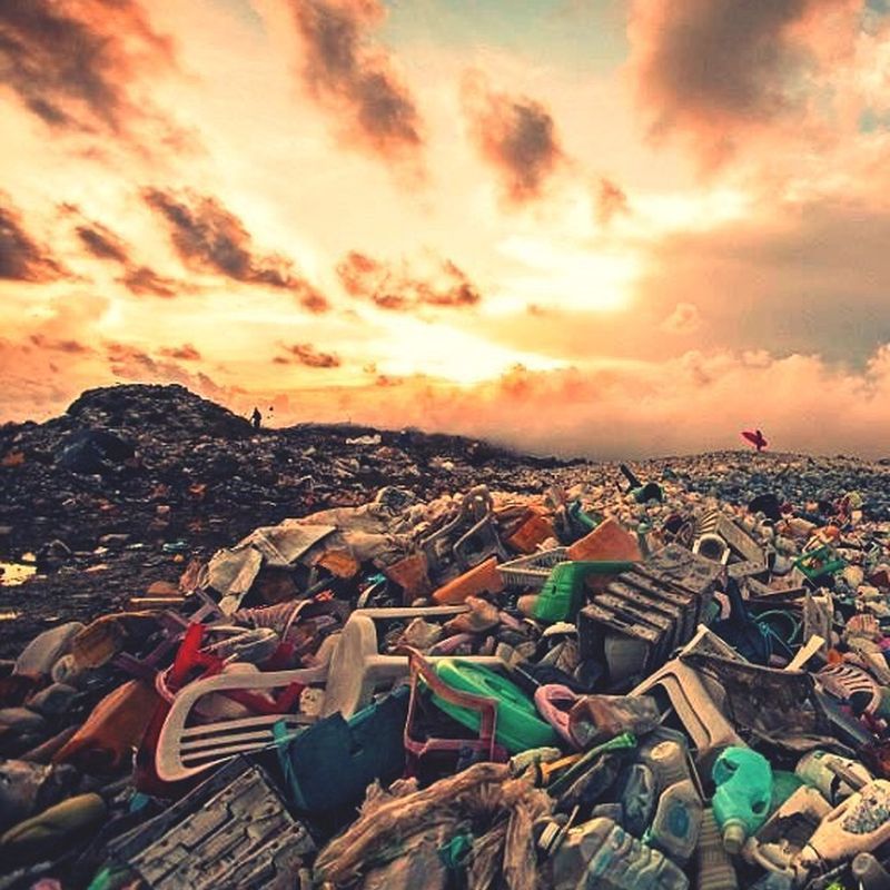 pollution4