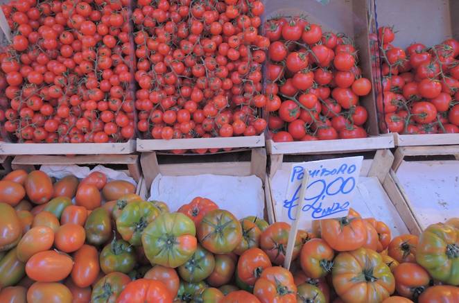 pomodori_in_Italia.jpg.662x0_q70_crop-scale