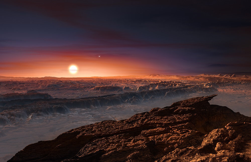 proximab_custom-18803371dffad3e1b563f74b1d1524e6dde2f4b0-s1300-c85