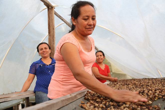 ramon-nuts-top.jpg.662x0_q70_crop-scale