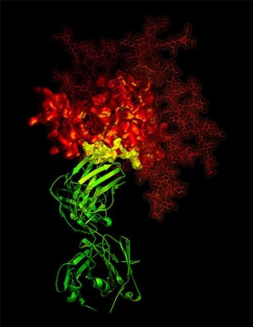 sci