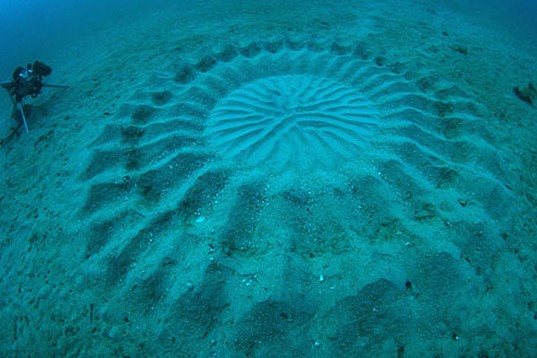 sea
