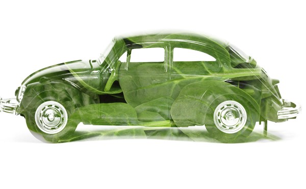 spinach