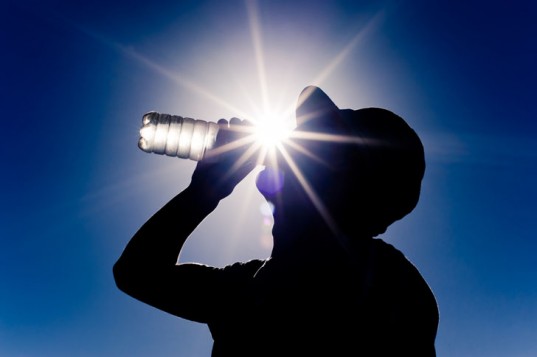 sun-drinking-water-537x357