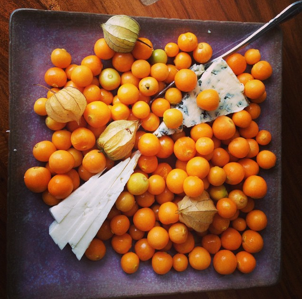 the-retreat-ground-cherries-costa-rica-feta