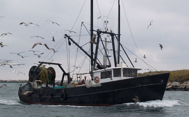 trawler