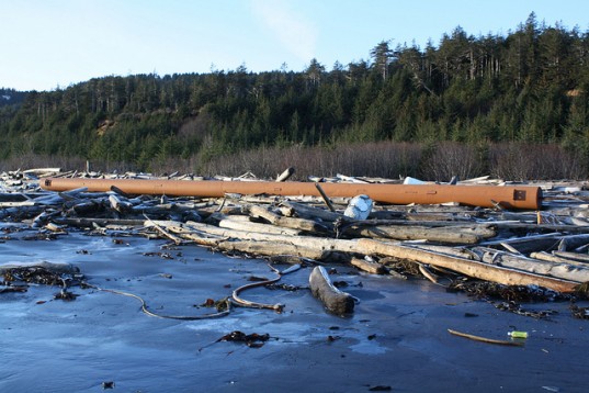 tsunami-debris-alaska-4