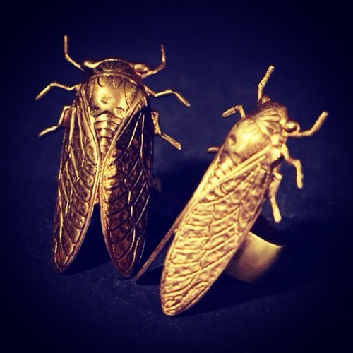 tyramin-cicada-rings-45