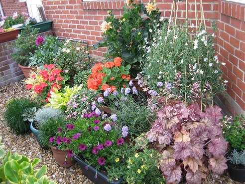 urban_gardens_photo