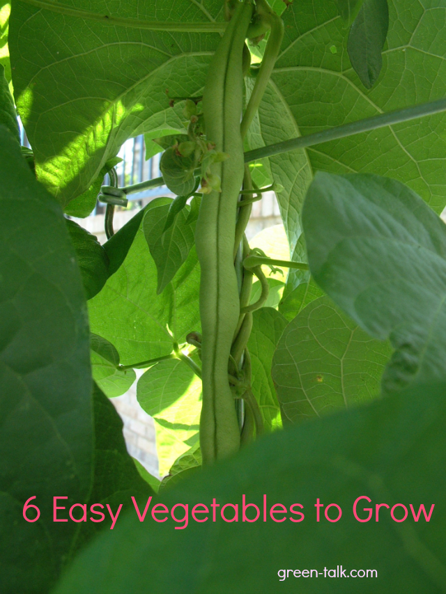 veg-for-website
