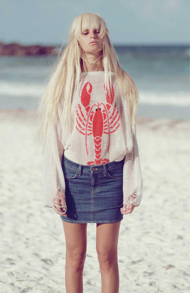 wildfox7