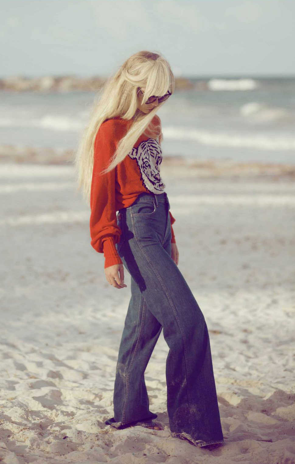 wildfox8