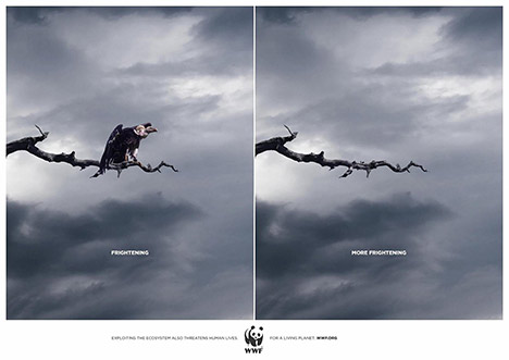 wwf-bird-ad-image
