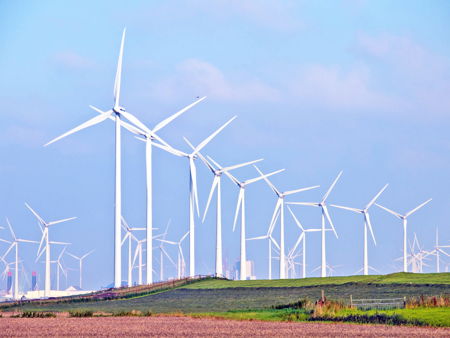 1-TXU-Energy-wind-farm-Texas-free-electricity