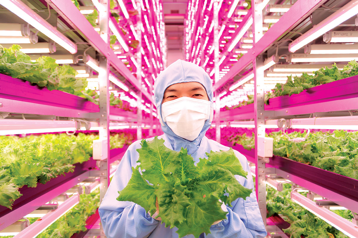 1-ge-mirai-indoor-farm-japan-1