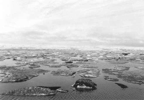20120113-arctic-sea