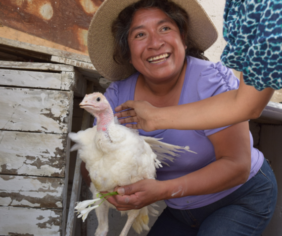 2015-10-14-1444802601-1592140-domitilachicken-thumb