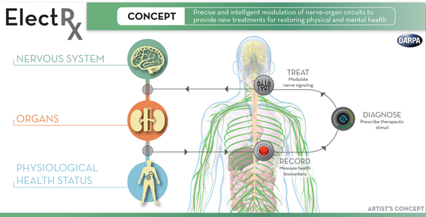 ElectRx+Infographic+-+December+2014_619x316