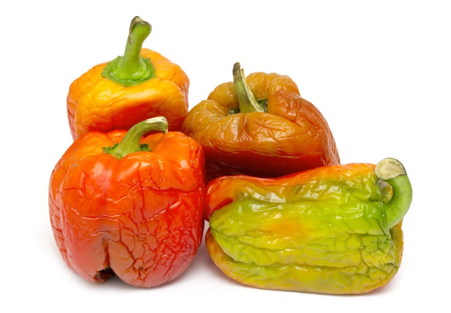 Food-Waste-Vegetables-Wilting-889x617