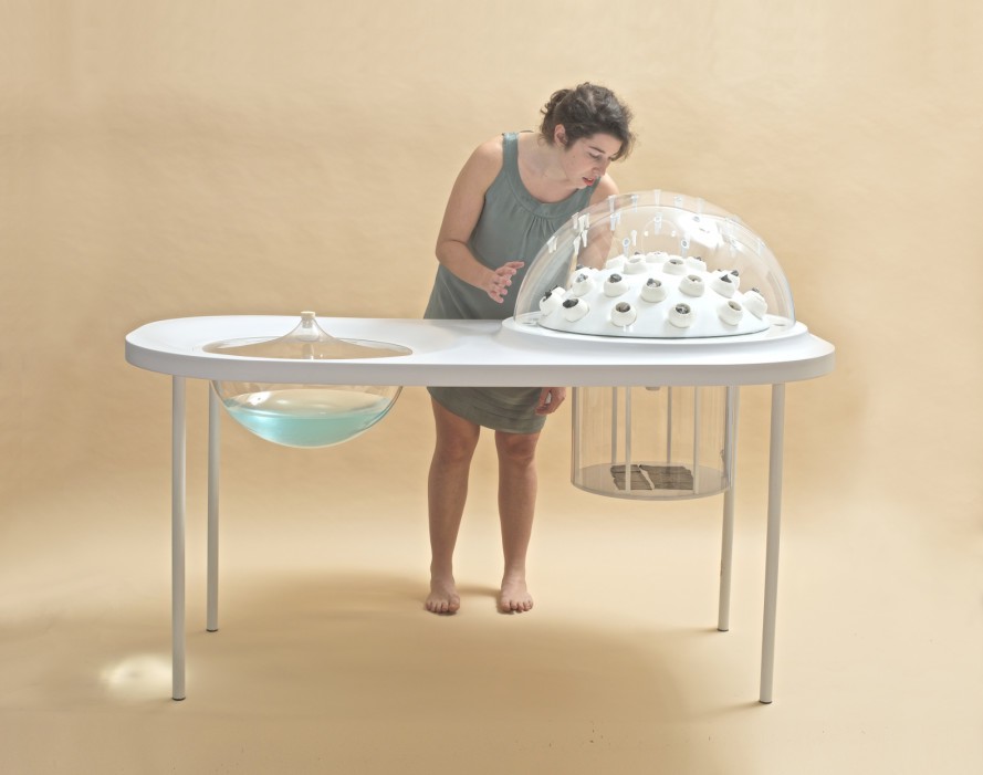 Fungi-Mutuarium-Livin-Studio-Fungal-Features-2-889x701