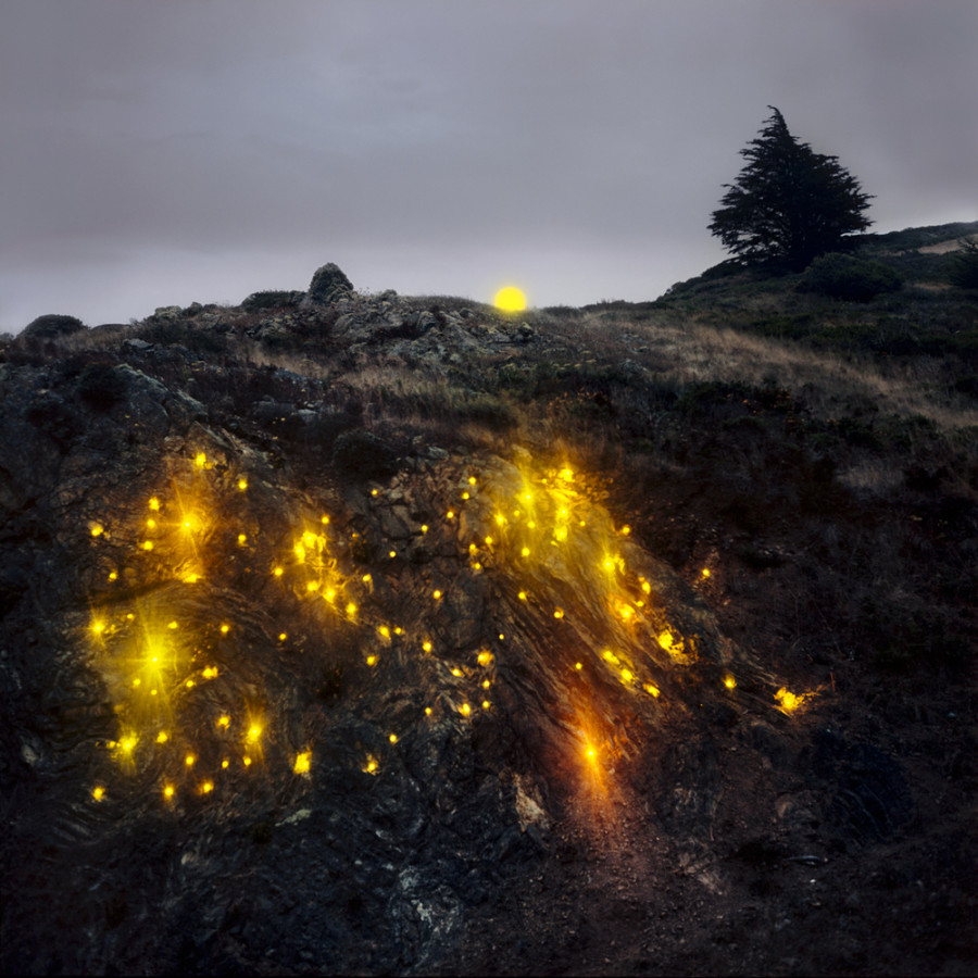 Greenart8