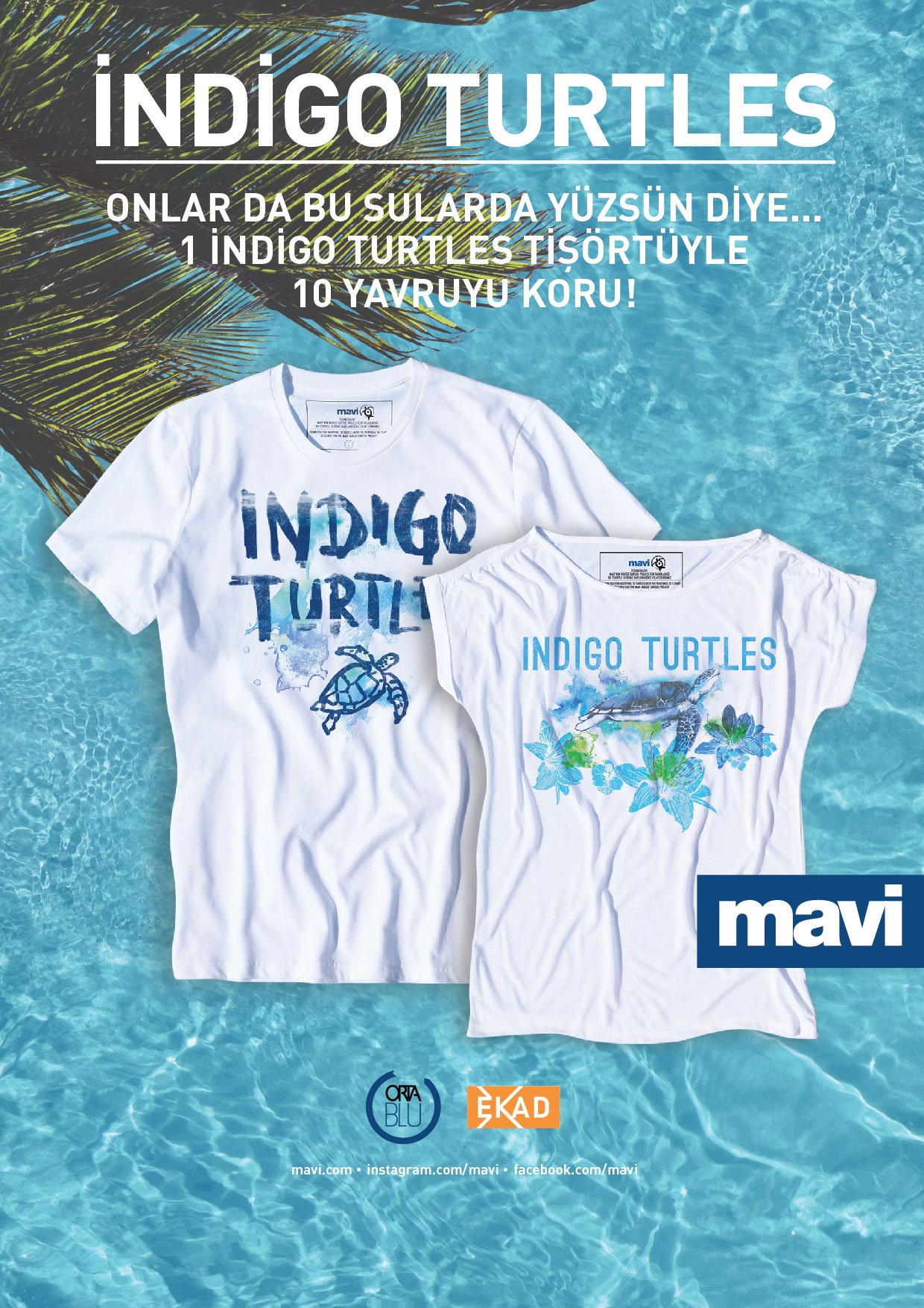 INDIGO TURTLES A4